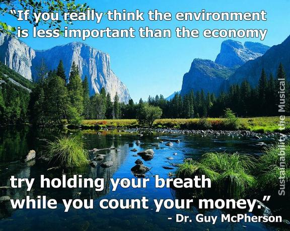 environment-and-money