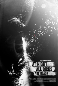 birdsnight